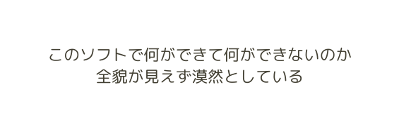 このソフトで何ができて何ができないのか 全貌が見えず漠然としている