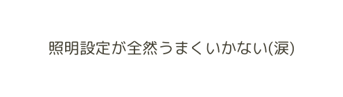 照明設定が全然うまくいかない 涙